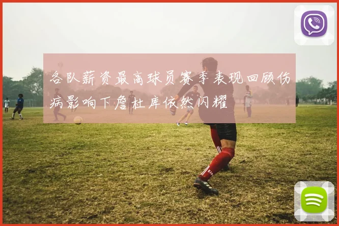 各队薪资最高球员赛季表现回顾伤病影响下詹杜库依然闪耀